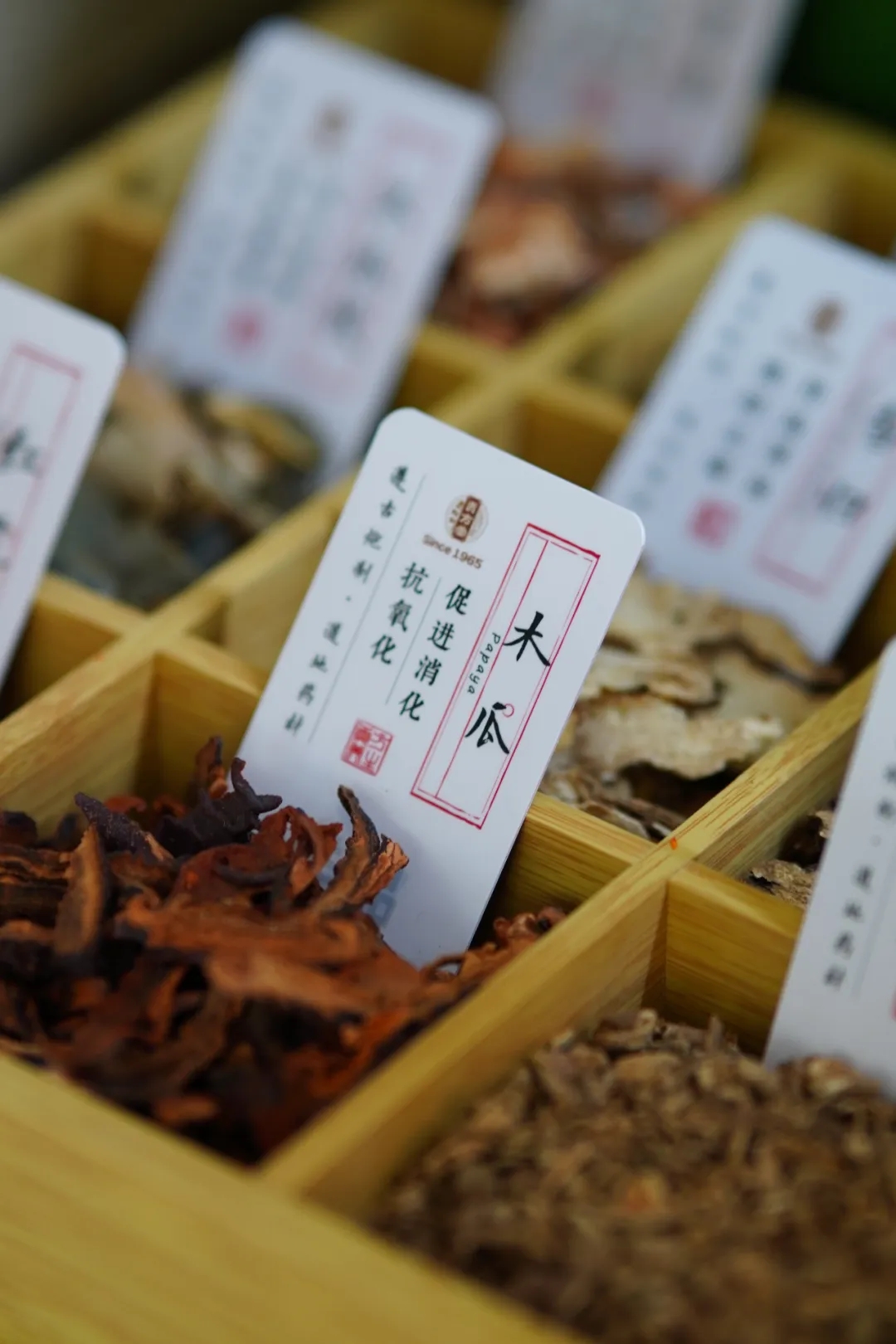 耳鸣分三种你是哪种?新加坡贡方堂TCM老中医一人一方,对证下药