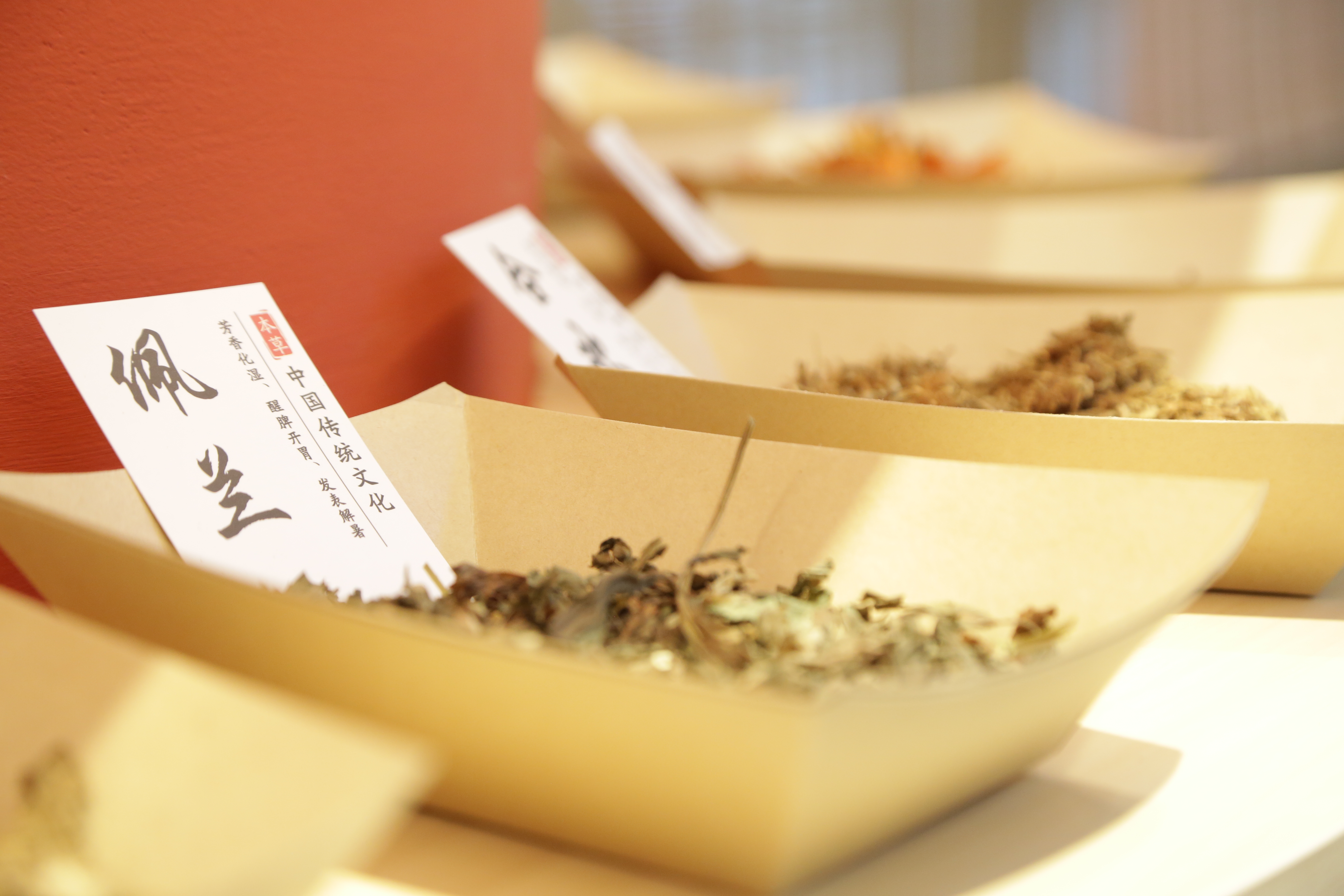 新加坡中医看脾胃不和怎么调理?贡方堂TCM吴美仪一人一方养出好脾胃